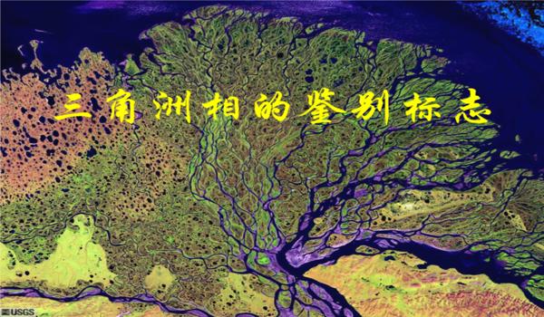 三角洲行动手游下载入口（给我一个三角洲行动手游的下载链接）